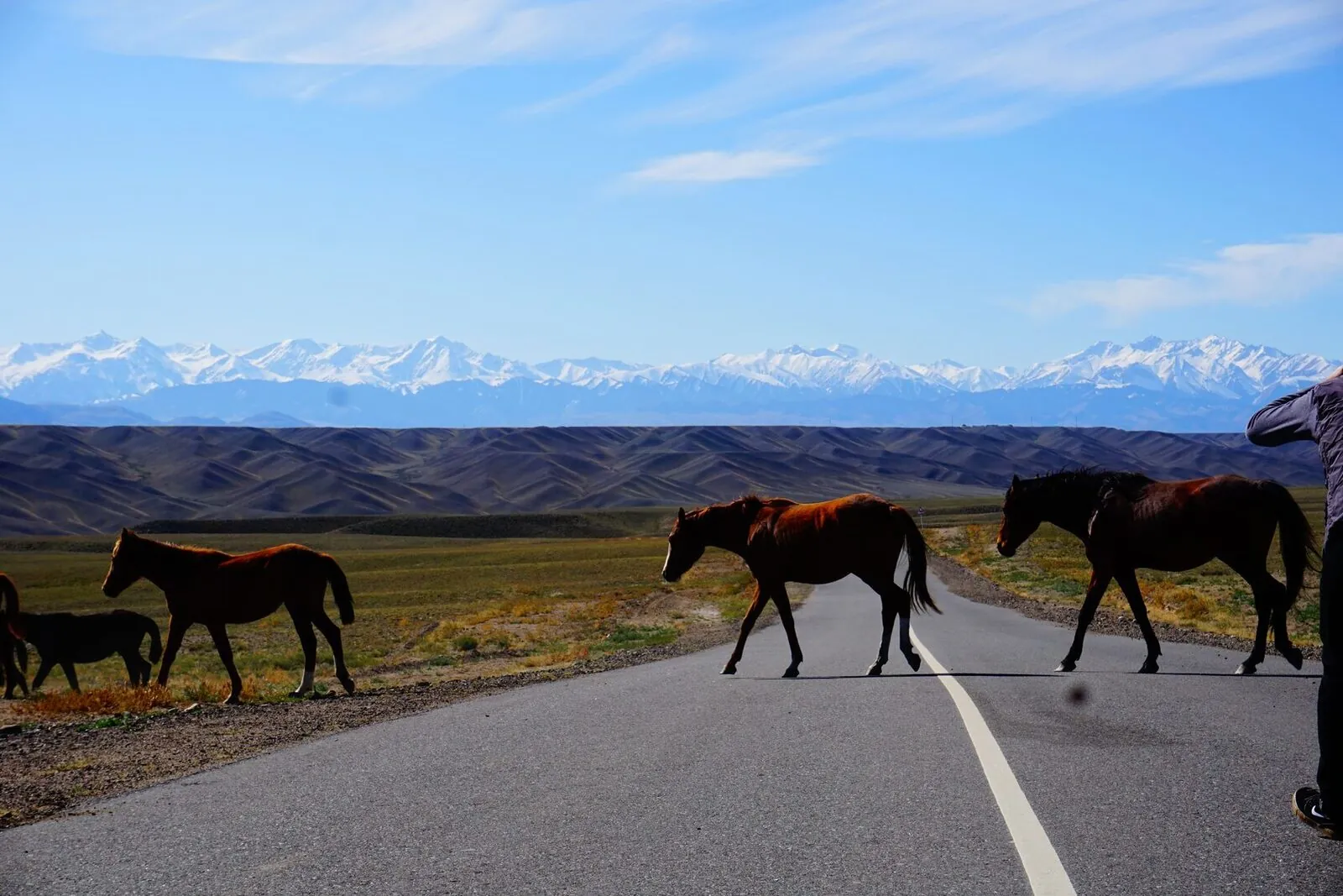 Grand tour of Central Asia: Kazakhstan and Kyrgyzstan by 4×4